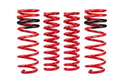 Eibach Set of 4 Springs E30-82-096-04-22