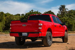 2.5 VS RR CDEV Coilover Kit for Ford F-150 RWD, 0-3 in., view 4, ICON Vehicle Dynamics 91818E