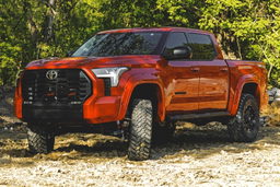 Oval Nerf Steps for Toyota Tundra 4WD and RWD (2022-2025), view 4, Rough Country 21014