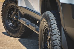 Oval Nerf Steps for Toyota Land Cruiser AWD (2024-2025), view 2, Rough Country 21018