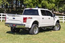 SRX2 Adjustable Aluminum Steps for F150 Crew Cab (2015-22), view 6, Rough Country 51008A