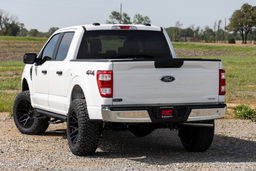 SRL2 Adjustable Aluminum Step Rail for F-150 Crew Cab, view 6, Rough Country 51141