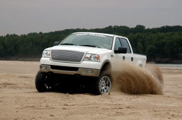 6-Inch Lift Kit with N3 Struts for 2004–2008 Ford F-150 4WD, Rough Country 54623
