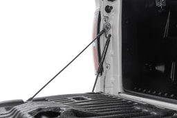 Tailgate Assist for 2004–2014 Ford F-150 shown installed, Rough Country 73214