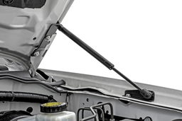 Hood Struts for Nissan Frontier (2011-2019), Rough Country 82013