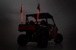 LED Whip Light Kit with Mount for Polaris General & Ranger, view 4, Rough Country 93053