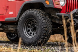 Gray Steel Wheel with 10-Slot D-Window Face, view 4 — Rough Country RC158545G